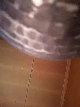 Snapshot of SashaahXXX chatting on February 2026 03:40:02 PM SashaahXXX online show from February 2026 03:40:02 PM