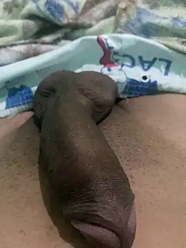 king cum  online show from December 2024 09:28:02 AM