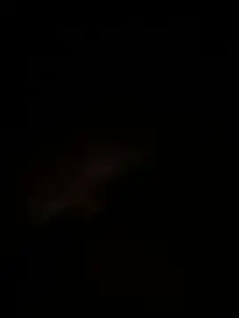 andres66152 online show from July 2026 03:09:01 AM