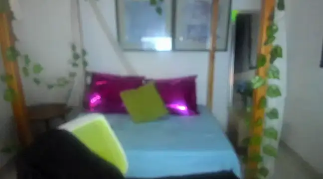 lussyevans24 online show from February 2025 04:35:01 AM