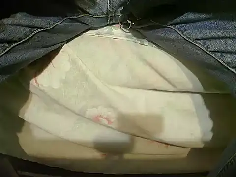 Tiger202441 online show from December 2024 08:47:01 PM