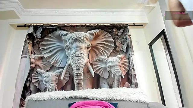 Joao Batista Oficial online show from October 2025 05:03:01 PM