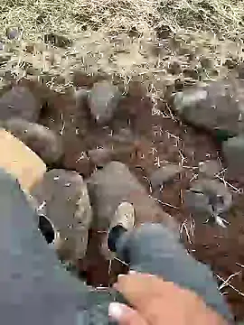 murokkk31 online show from December 2024 12:23:01 PM