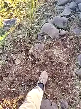 murokkk31 online show from December 2025 12:21:02 PM