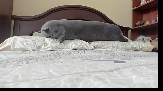 Snapshot of linnie_ chatting on February 2026 02:32:01 AM linnie online show from February 2026 02:32:01 AM