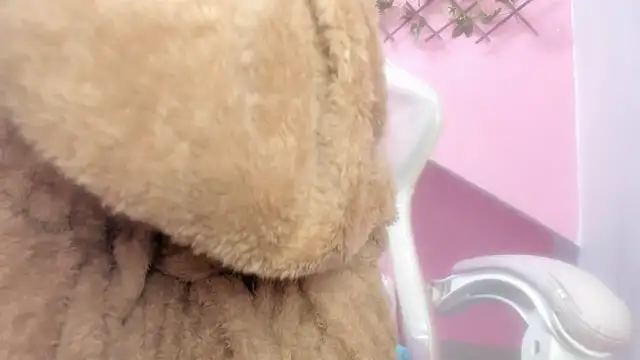 meribeth303av online show from December 2024 02:17:02 AM