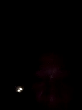 Snapshot of miicheele32 chatting on October 2025 07:31:02 AM miicheele32 online show from October 2025 07:31:02 AM