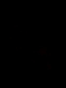 Ory22 online show from November 2025 04:42:01 PM