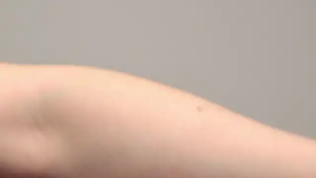 Snapshot of AliceMunro chatting on January 2025 01:32:02 AM AliceMunro online show from January 2025 01:32:02 AM