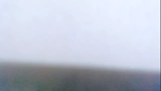 Snapshot of Layla_squirt88 chatting on November 2025 01:44:02 PM Layla squirt88 online show from November 2025 01:44:02 PM