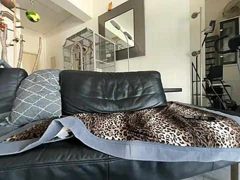 Germankink online show from April 2026 11:15:01 AM