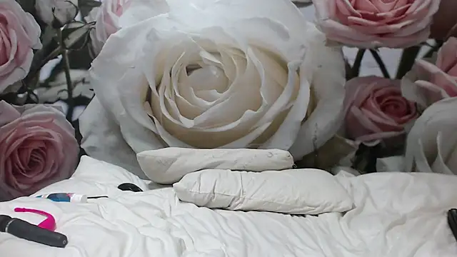 Snapshot of Sexysilverfoxxx chatting on December 2024 04:03:02 AM Sexysilverfoxxx online show from December 2024 04:03:02 AM