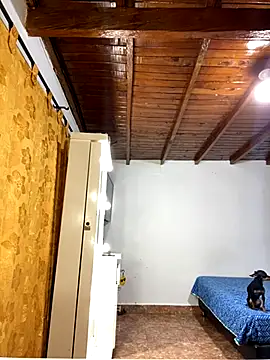 Zaratattoox online show from December 2025 09:53:01 PM