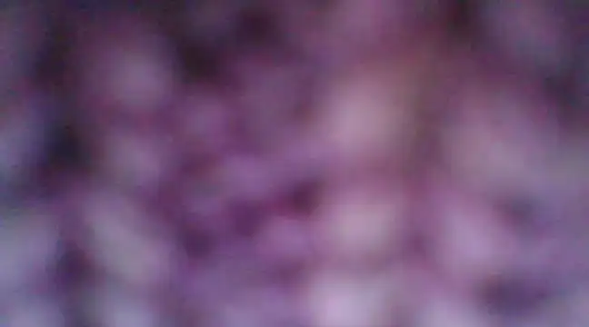 Snapshot of mia_cooper_24 chatting on December 2024 07:00:02 PM mia cooper 24 online show from December 2024 07:00:02 PM