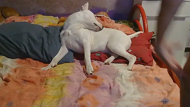 couplemilf2 online show from December 2024 11:25:01 PM