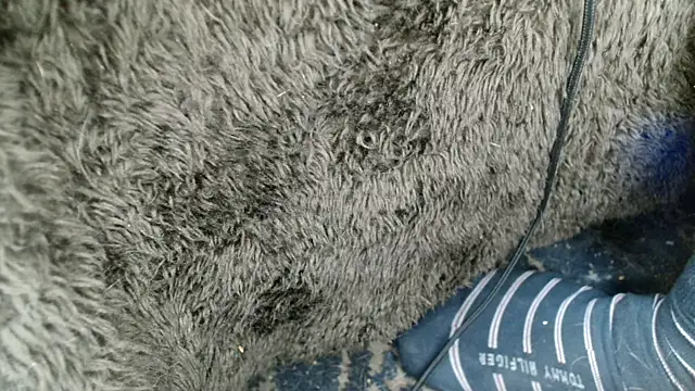 Gigadickman online show from December 2024 09:02:01 AM