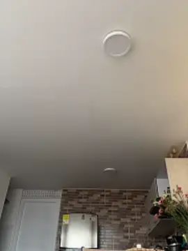 Snapshot of SofiaG_ chatting on February 2026 07:45:02 PM SofiaG online show from February 2026 07:45:02 PM