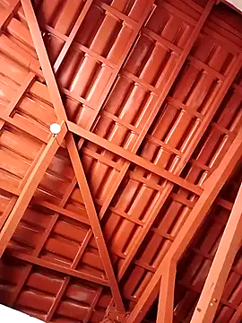 lele9457 online show from February 2025 06:20:02 PM