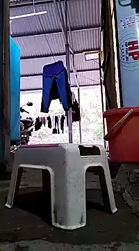 JasminePham online show from December 2024 01:40:01 AM