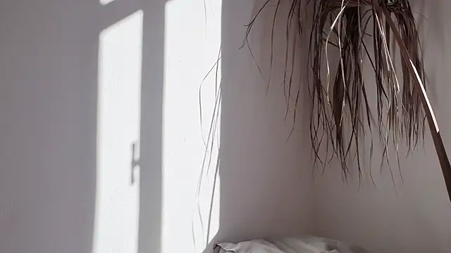 my lina online show from October 2025 06:27:02 AM