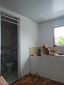 Abbyjonhson   online show from May 2026 05:21:02 PM