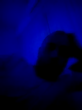 HELL FIRE online show from September 2025 05:23:02 AM