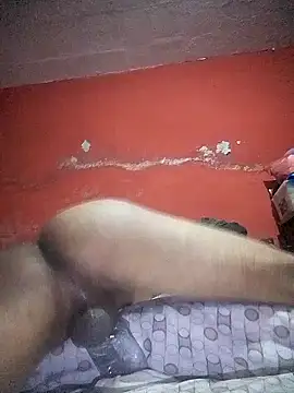 VL25DN26 online show from December 2024 01:33:02 PM