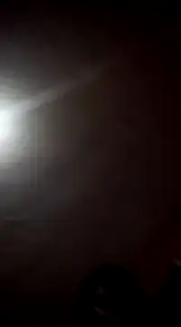 VL25DN26 online show from February 2025 06:14:01 AM