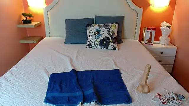 Snapshot of north_sweet_ chatting on February 2025 06:45:01 PM north sweet online show from February 2025 06:45:01 PM