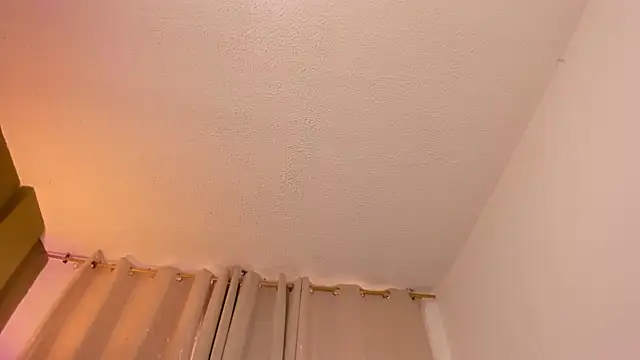 Zara dulce online show from February 2026 12:03:01 PM