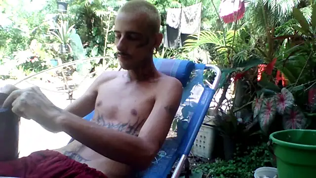 Snapshot of sellvageria chatting on November 2025 01:32:02 PM sellvageria online show from November 2025 01:32:02 PM