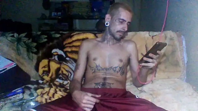 Snapshot of sellvageria chatting on November 2025 12:36:01 AM sellvageria online show from November 2025 12:36:01 AM