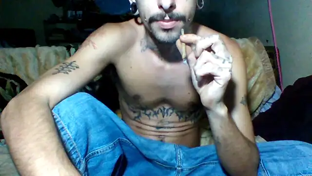 Snapshot of sellvageria chatting on December 2025 08:03:01 PM sellvageria online show from December 2025 08:03:01 PM