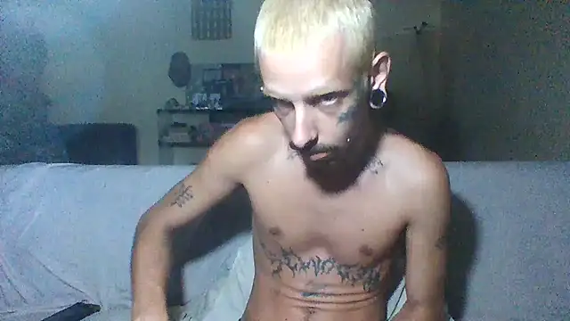 Snapshot of sellvageria chatting on December 2025 09:38:01 AM sellvageria online show from December 2025 09:38:01 AM