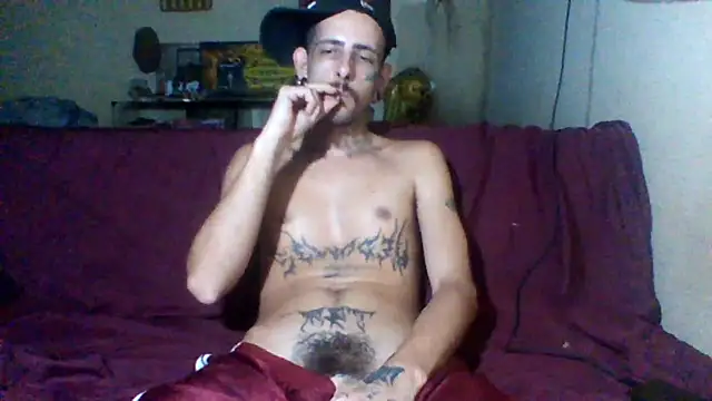 Snapshot of sellvageria chatting on February 2026 08:38:02 PM sellvageria online show from February 2026 08:38:02 PM