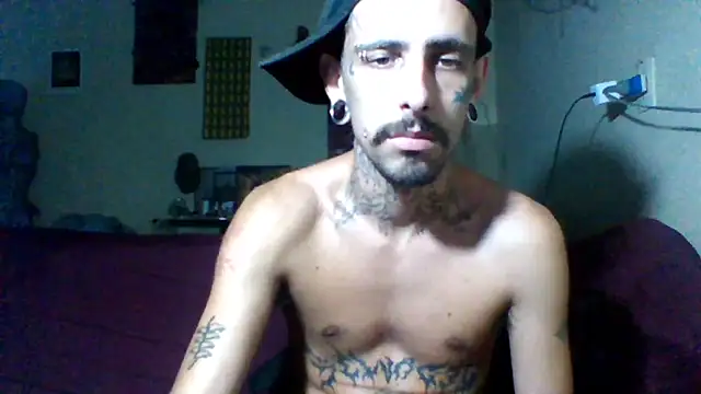 Snapshot of sellvageria chatting on February 2026 08:26:01 PM sellvageria online show from February 2026 08:26:01 PM