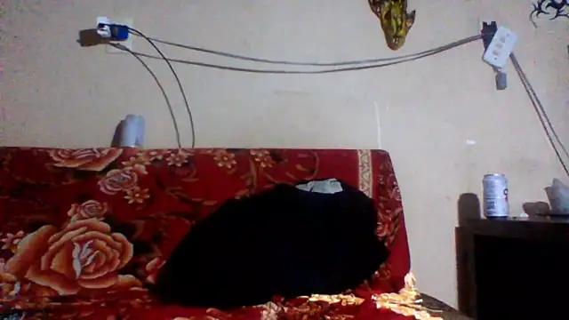 Snapshot of sellvageria chatting on February 2026 03:49:02 AM sellvageria online show from February 2026 03:49:02 AM