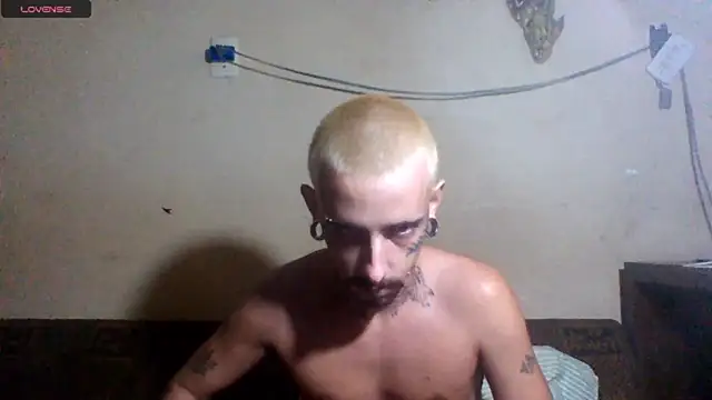 sellvageria online show from April 2026 01:53:02 PM