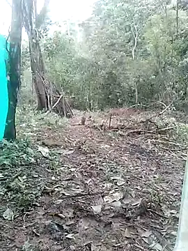 andreu mature online show from March 2025 04:14:01 PM