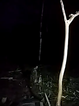 andreu mature online show from March 2025 11:43:02 PM