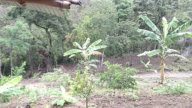 andreu mature online show from October 2025 01:08:01 PM