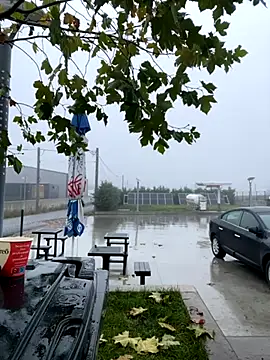 baramadalin online show from November 2025 05:28:02 AM