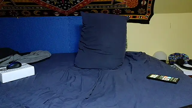 Spacecase2021 online show from January 2025 08:56:01 AM