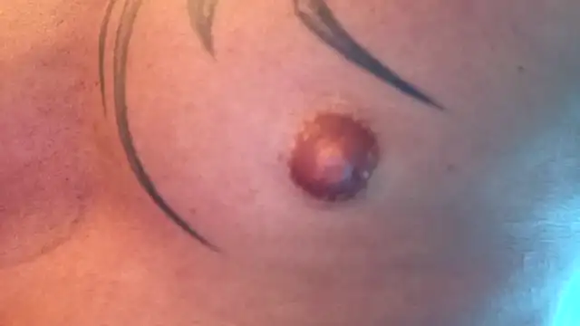 Timbojan28 online show from February 2026 10:37:01 PM