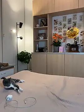 Snapshot of juanasnz99 chatting on January 2025 02:56:01 AM juanasnz99 online show from January 2025 02:56:01 AM