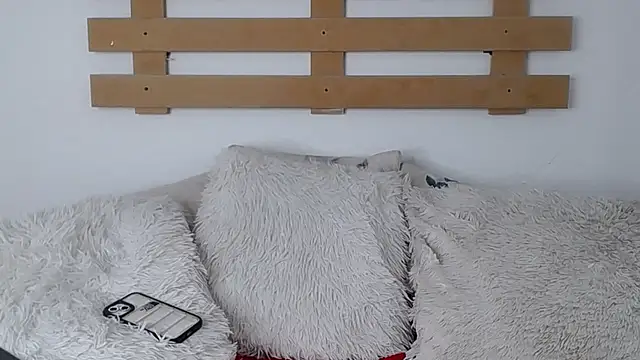 Snapshot of Steev_Novoa chatting on January 2025 06:28:01 AM Steev Novoa online show from January 2025 06:28:01 AM