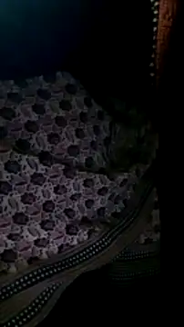 Snapshot of Hotsarina chatting on December 2024 02:23:02 PM Hotsarina online show from December 2024 02:23:02 PM