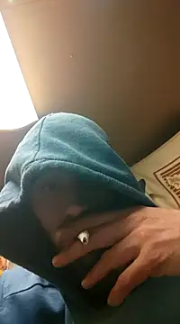 Rejtelmesest online show from January 2025 03:15:02 AM