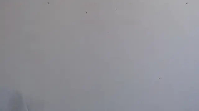 Niurca01  online show from September 2025 03:49:02 PM