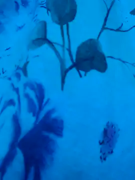 gurlnips online show from September 2025 06:37:01 AM